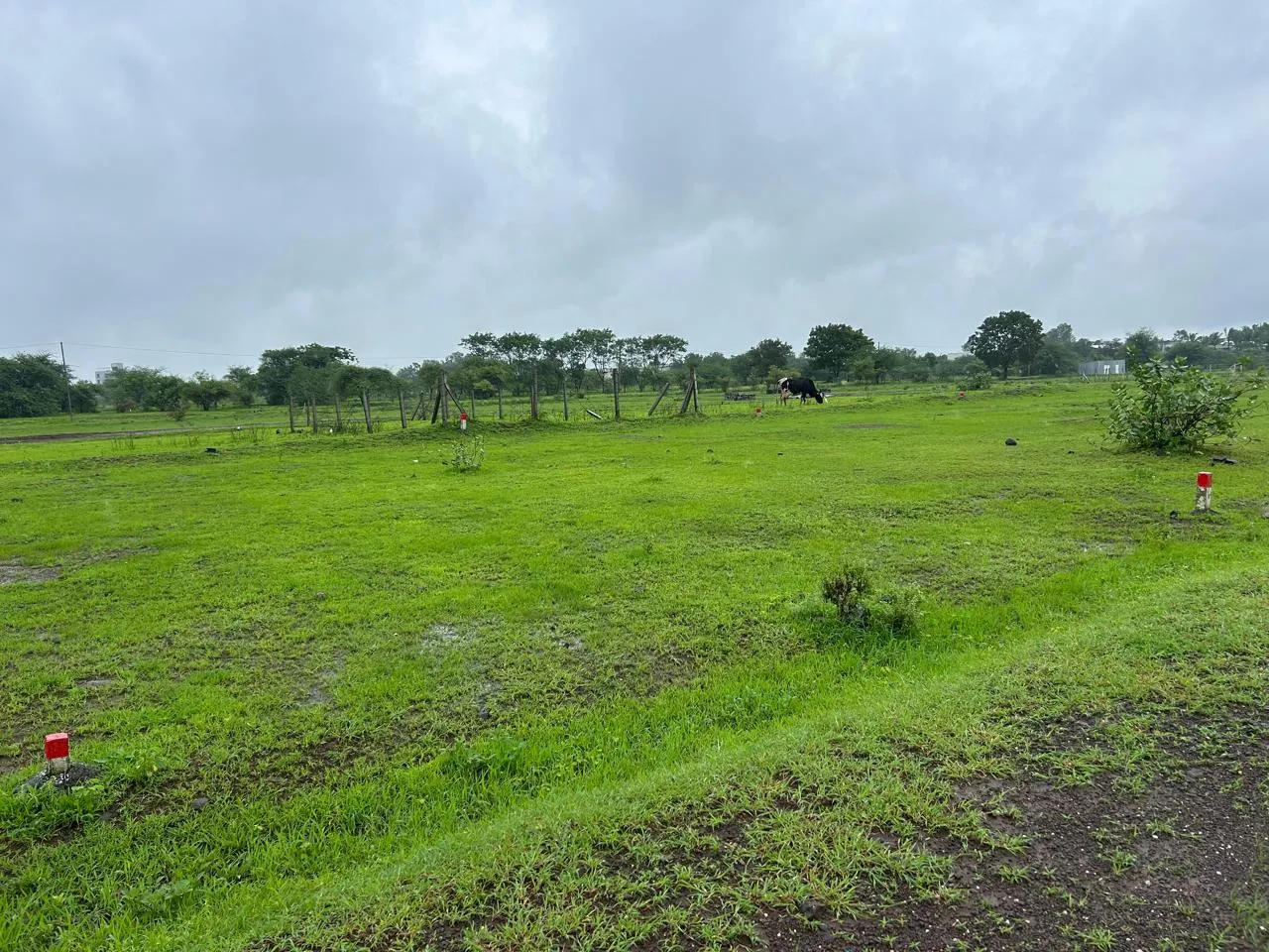 Green, level residential plots at Jaulke, Dindori with fencing along the boundary